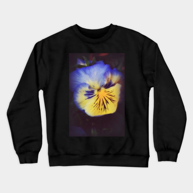 Pansy Glow Crewneck Sweatshirt by AlexaZari